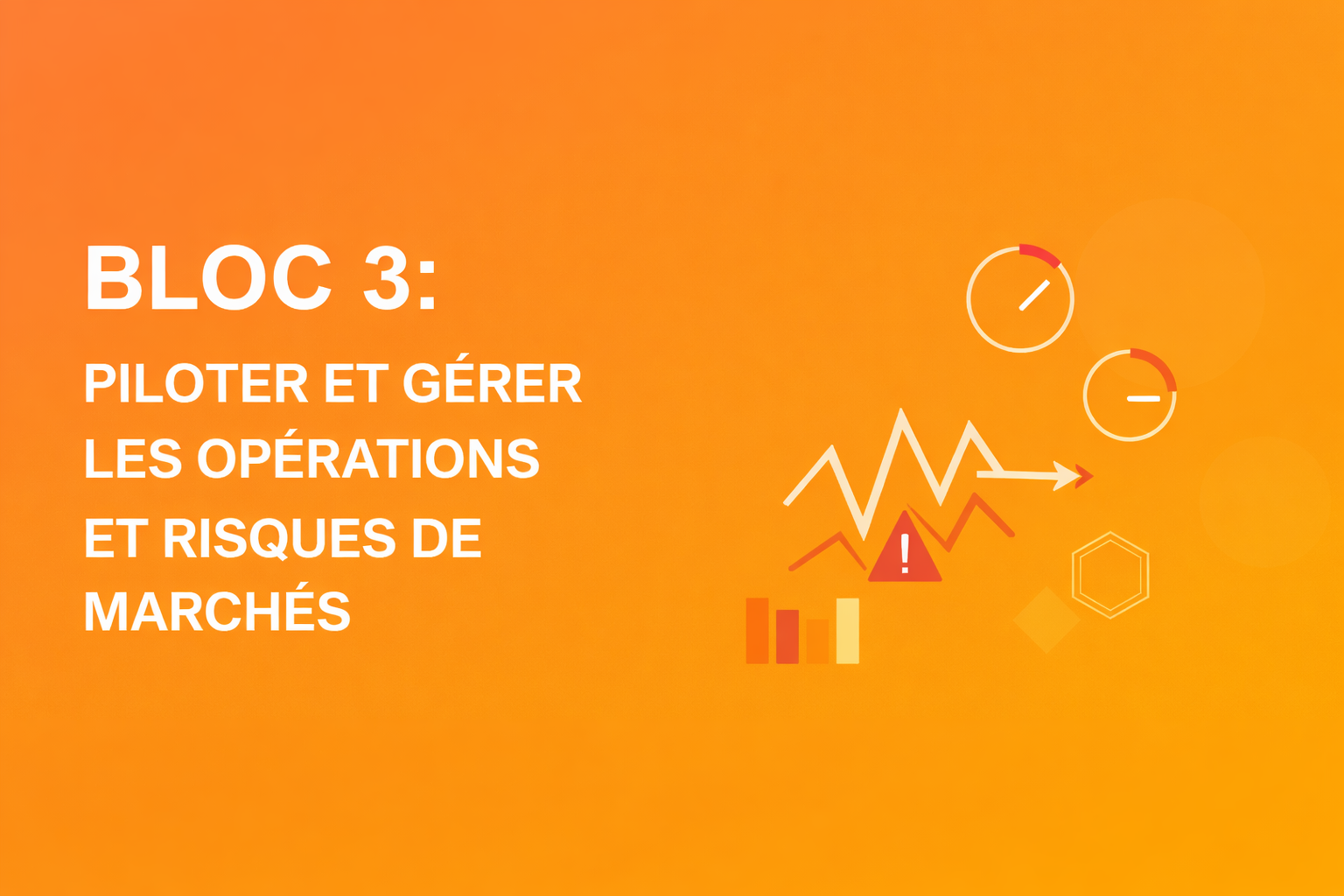 Mastère - BLOC 3 : PILOTER ET GÉRER LES OPÉRATIONS ET RISQUES DE MARCHÉS Master103