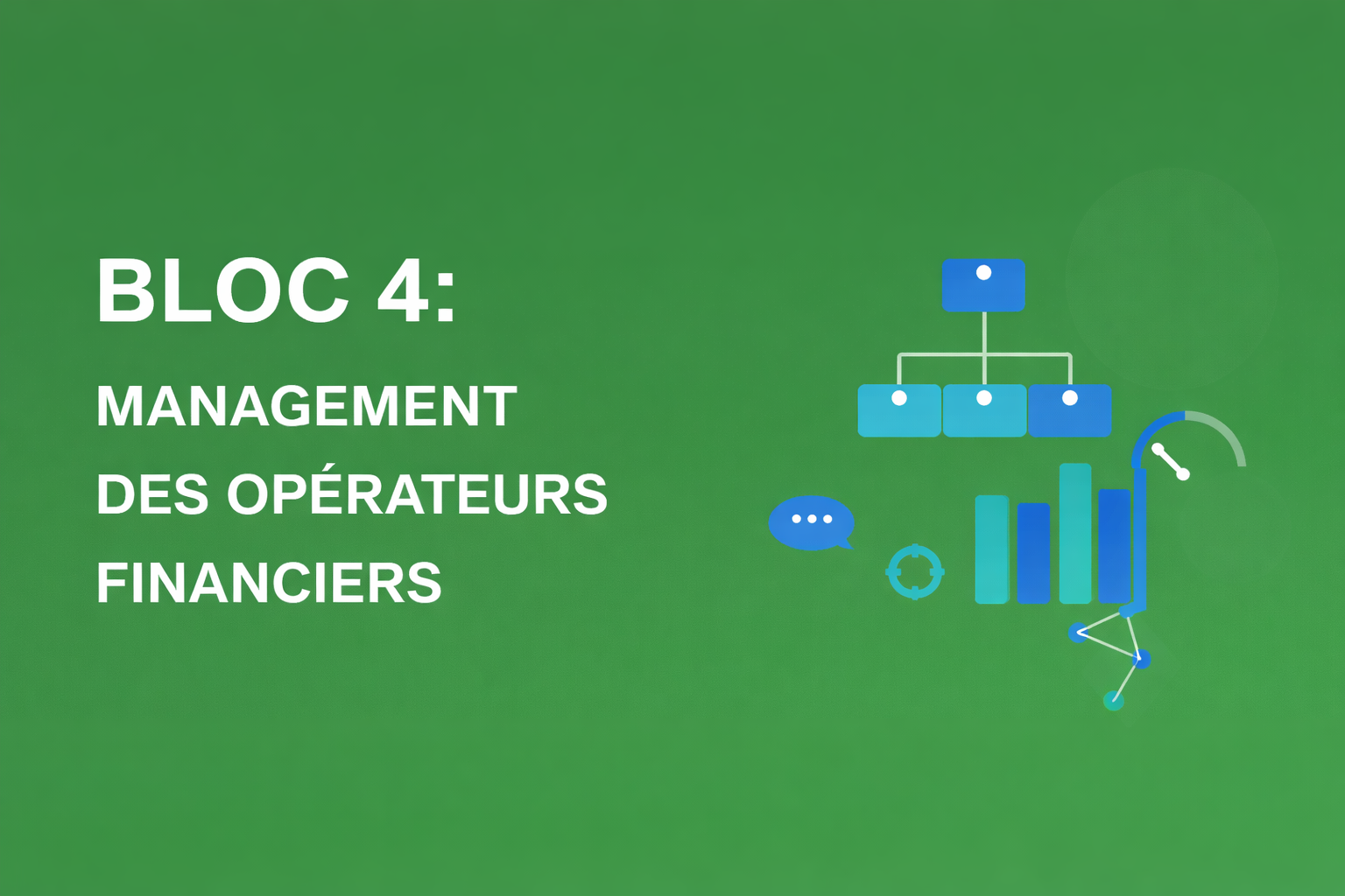 Mastère - BLOC 4 : Management des opérateurs financiers Master104