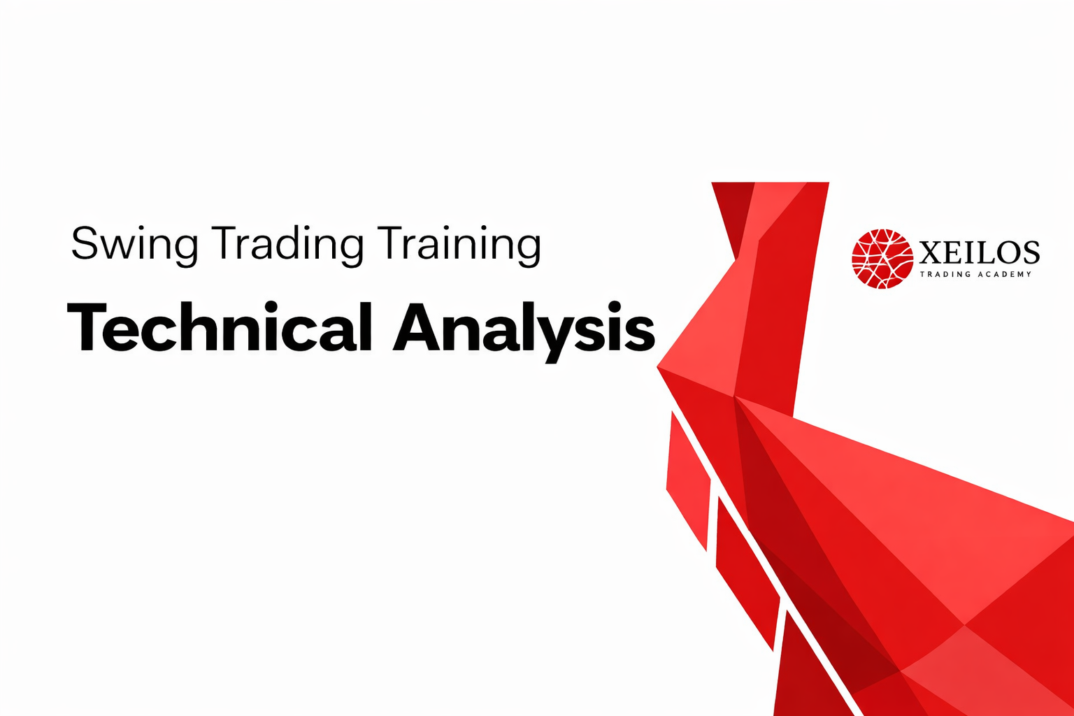 Swing Trading Training and Chart Analysis Swing102